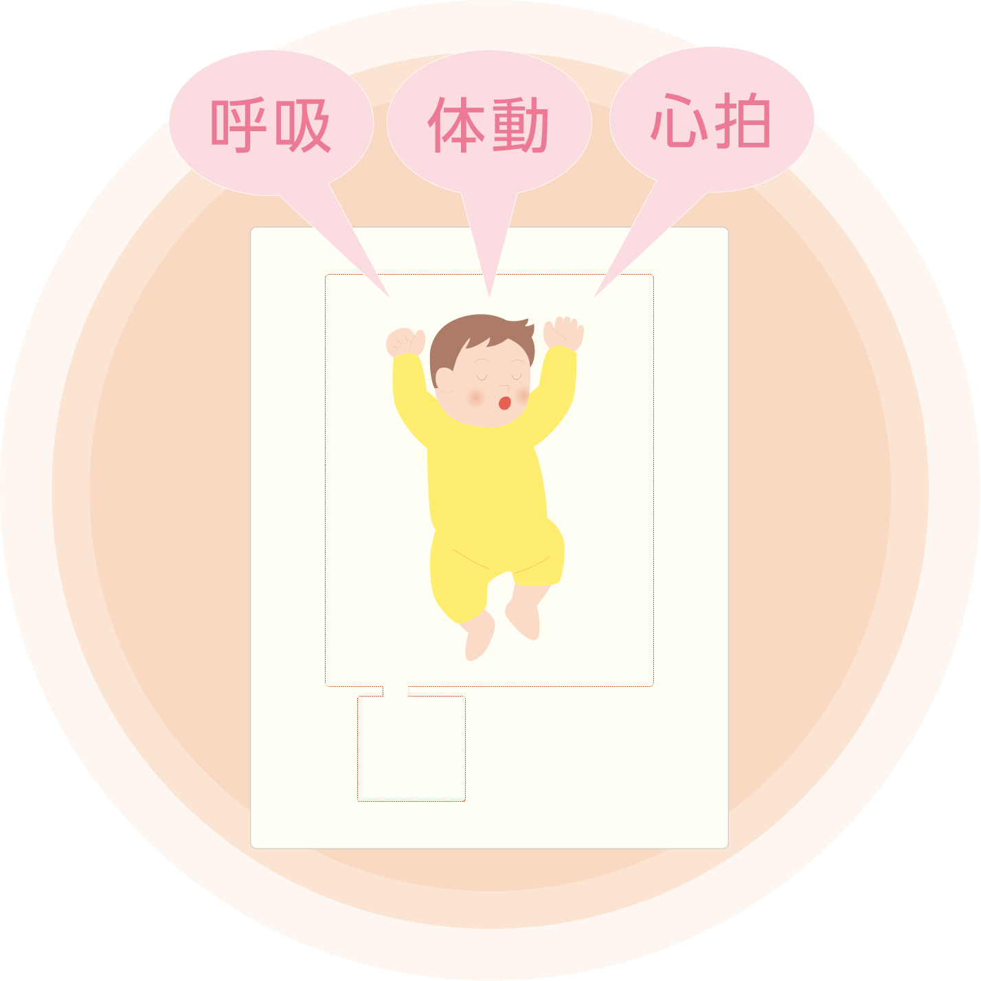 smile babyの画像